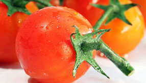 神奇的短信测试app